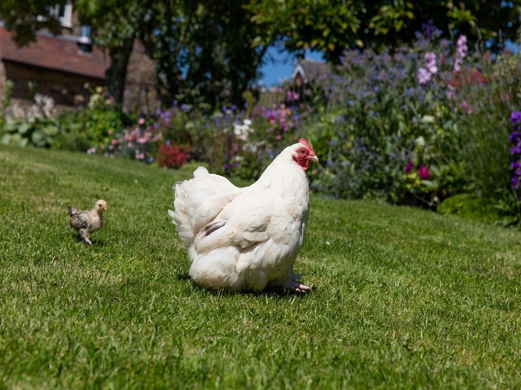 The Graig Bed & Breakfast Ludlow Farden Exteriör bild