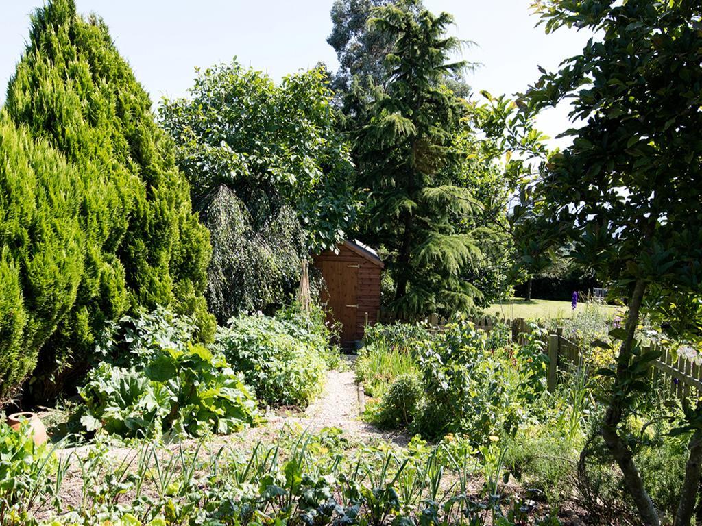 The Graig Bed & Breakfast Ludlow Farden Exteriör bild