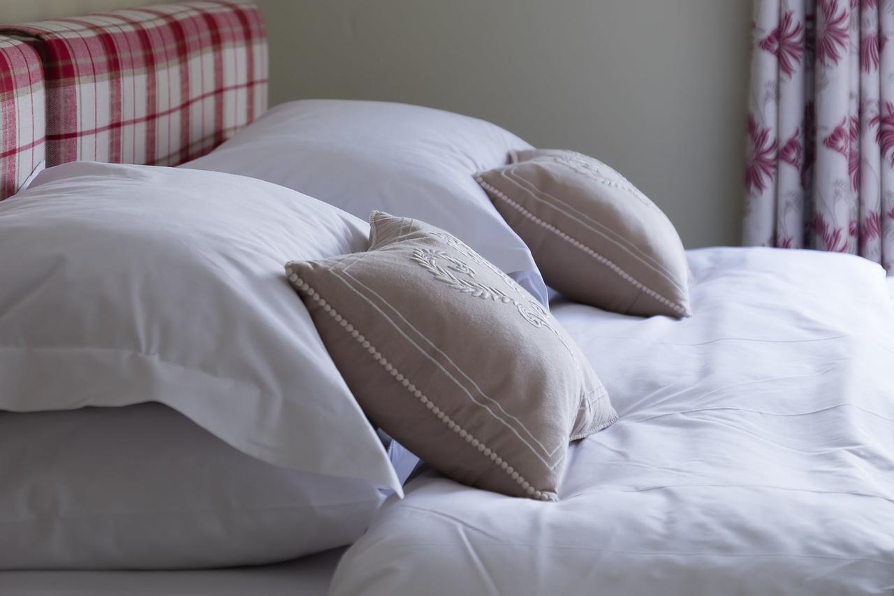 The Graig Bed & Breakfast Ludlow Farden Exteriör bild