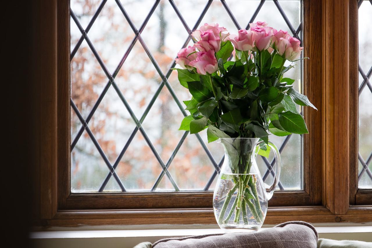 The Graig Bed & Breakfast Ludlow Farden Exteriör bild
